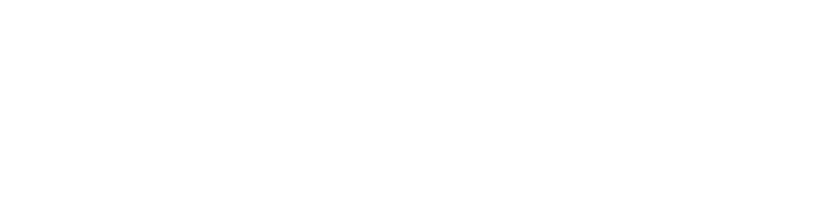 NIPPON SEIKI SHOKAI